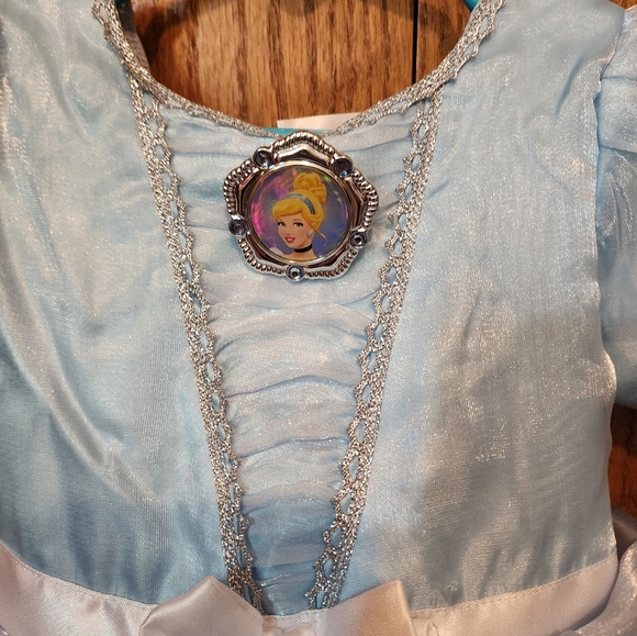 Disney Cinderella Halloween Costume - Picture 2 of 11